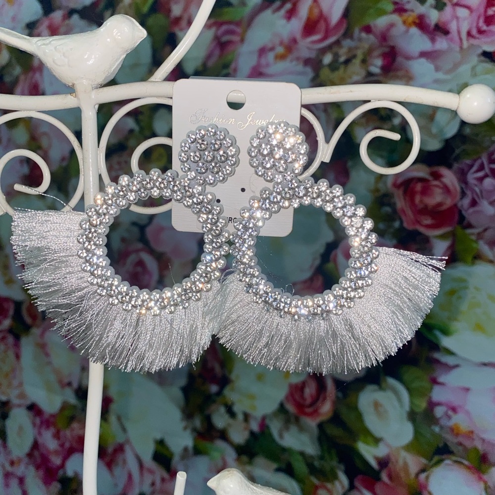 Fashion Hoops earrings